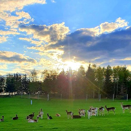 Przystan Nad Zatoka - Gospodarstwo Agroturystyczne Lubieszewo  ภายนอก รูปภาพ