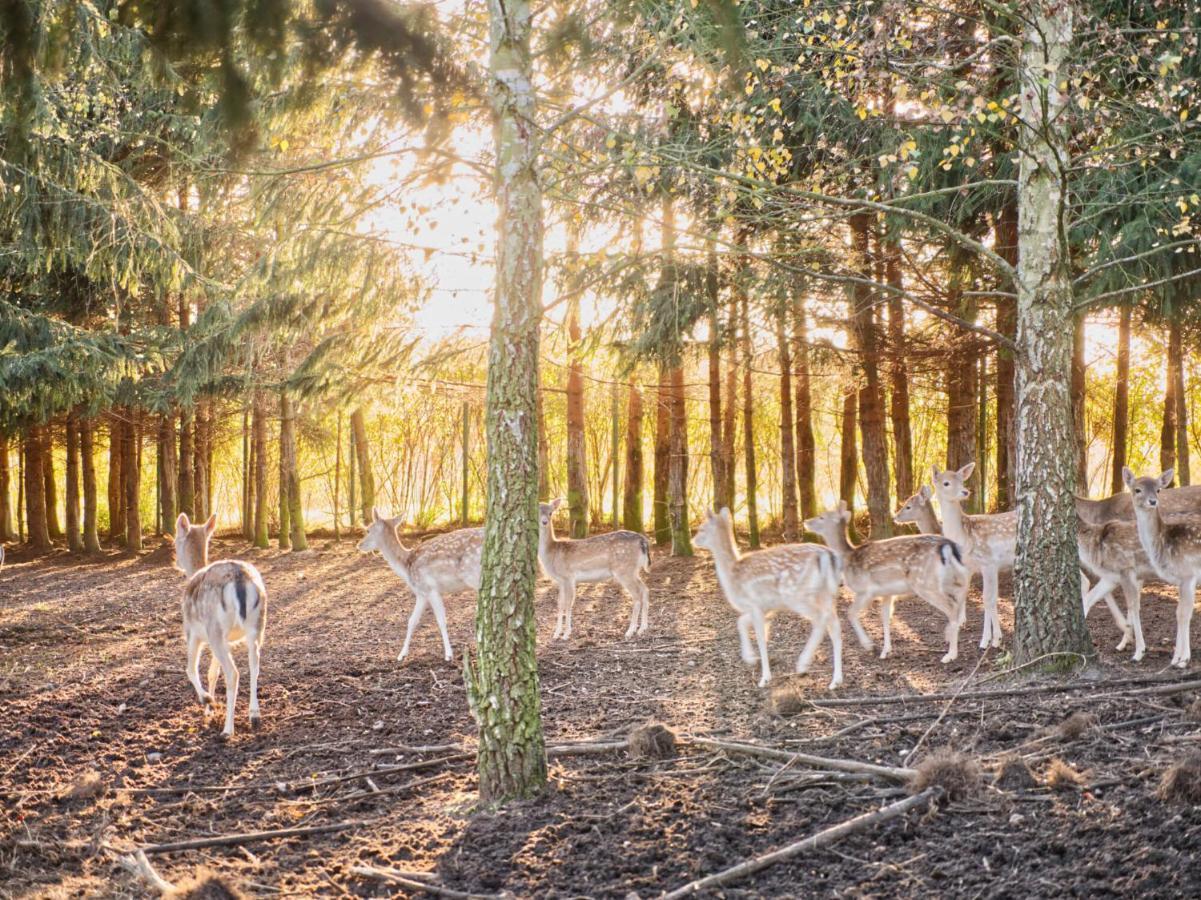 Przystan Nad Zatoka - Gospodarstwo Agroturystyczne Lubieszewo  ภายนอก รูปภาพ