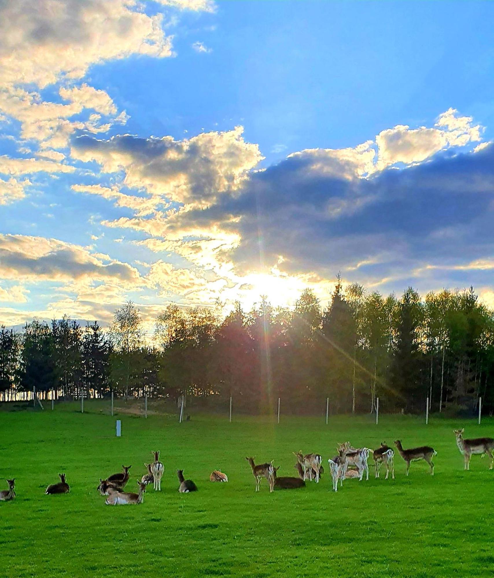 Przystan Nad Zatoka - Gospodarstwo Agroturystyczne Lubieszewo  ภายนอก รูปภาพ