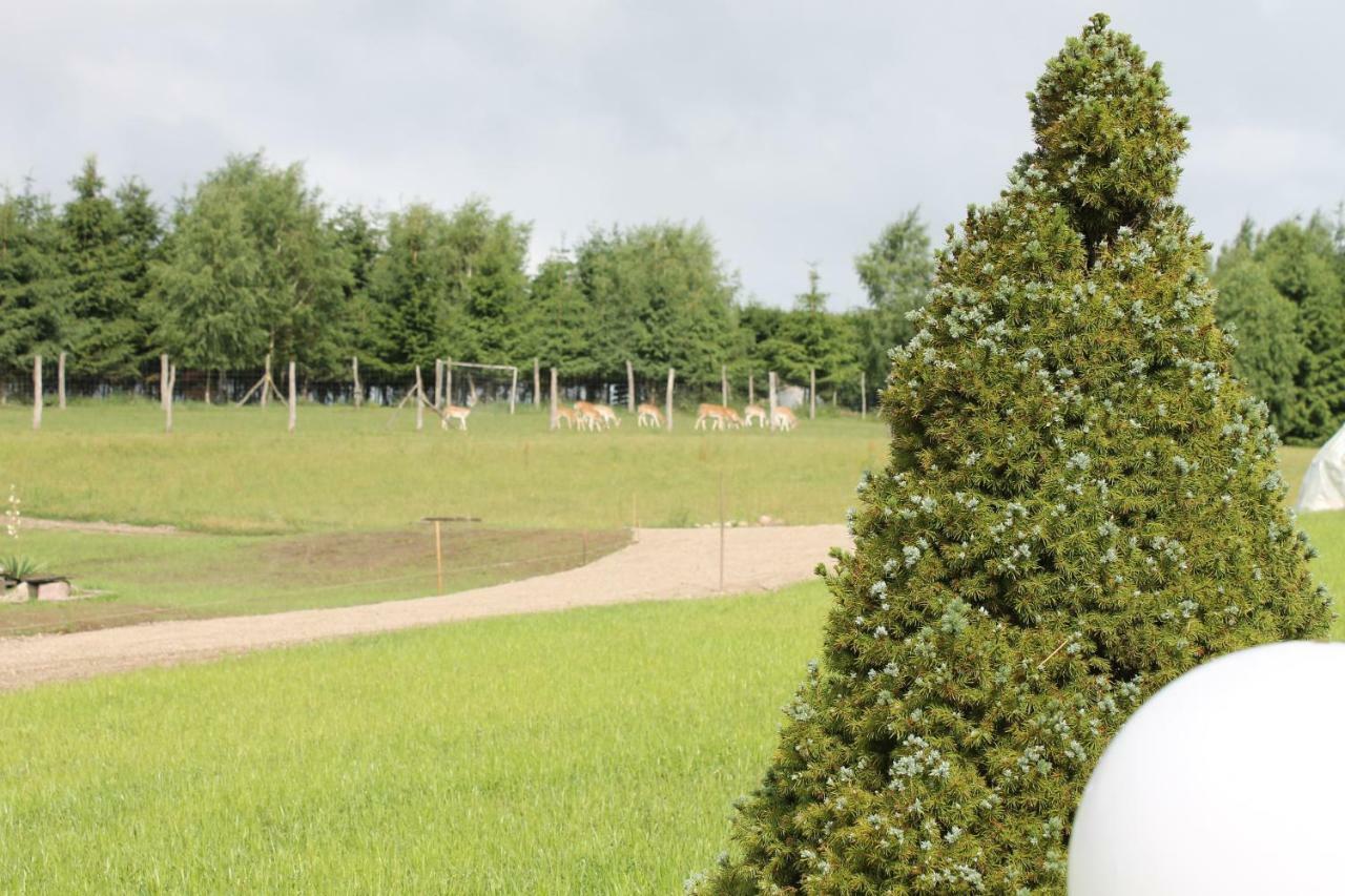 Przystan Nad Zatoka - Gospodarstwo Agroturystyczne Lubieszewo  ภายนอก รูปภาพ
